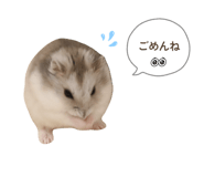 847700639