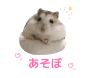847700641