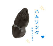 847700643