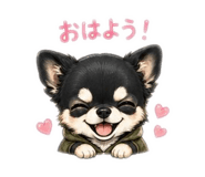 847701081