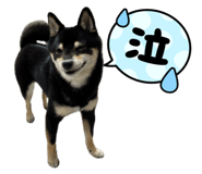 847701720