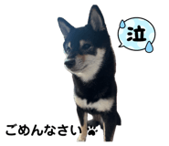 847701721