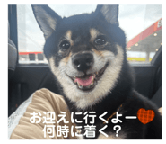 847701730