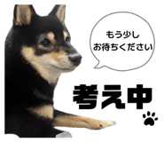 847701738
