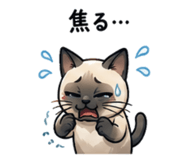 847702902