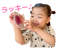 847704538