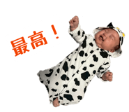 847704613