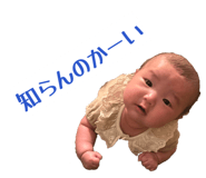 847704620