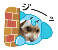 847705078