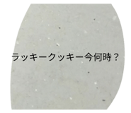 847706034