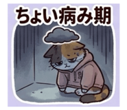 847706796