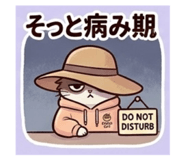 847706797