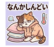 847706800