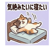 847706913