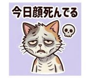 847706914