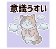 847706920
