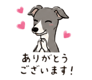 847709397