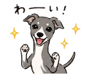 847709399