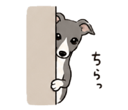 847709407