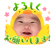 847711142