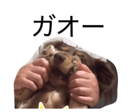 847711224