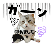 847711561