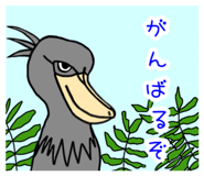 847713146