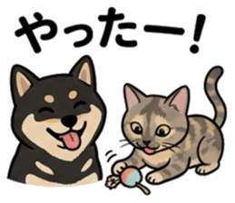 847714009