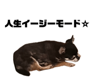 847714650