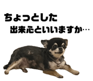 847714652