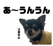 847714655
