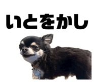 847714656
