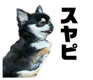 847714657