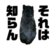 847714658