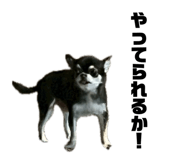 847714666