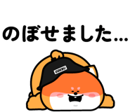 847715944