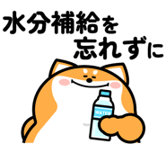 847715967