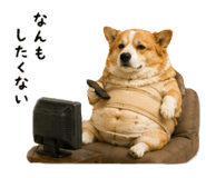 847728028