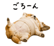 847728033