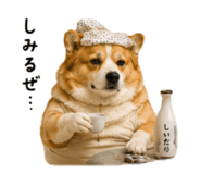 847728034
