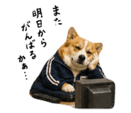 847728051