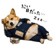 847728057