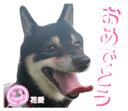 847737136
