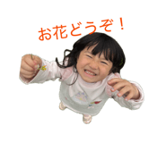 847737558