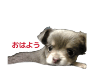 847738186