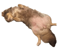 847738190