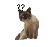 847738734