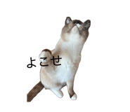 847738735