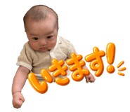847738807