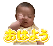 847738809